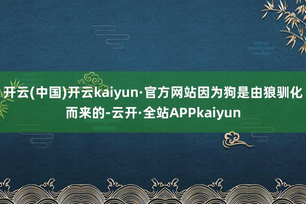 开云(中国)开云kaiyun·官方网站因为狗是由狼驯化而来的-云开·全站APPkaiyun