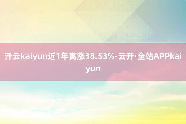 开云kaiyun近1年高涨38.53%-云开·全站APPkaiyun