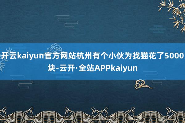 开云kaiyun官方网站杭州有个小伙为找猫花了5000块-云开·全站APPkaiyun