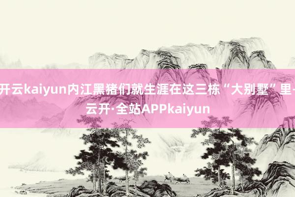 开云kaiyun内江黑猪们就生涯在这三栋“大别墅”里-云开·全站APPkaiyun