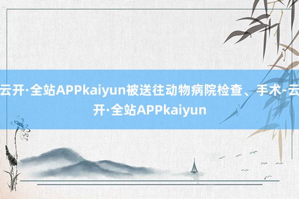 云开·全站APPkaiyun被送往动物病院检查、手术-云开·全站APPkaiyun
