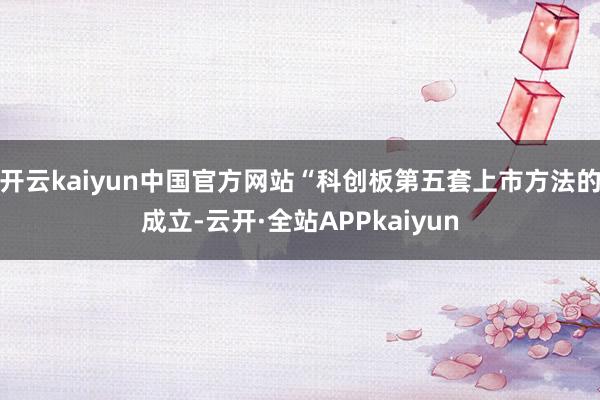 开云kaiyun中国官方网站“科创板第五套上市方法的成立-云开·全站APPkaiyun