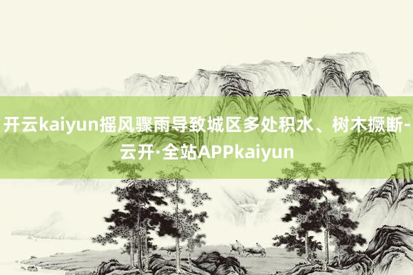 开云kaiyun摇风骤雨导致城区多处积水、树木撅断-云开·全站APPkaiyun