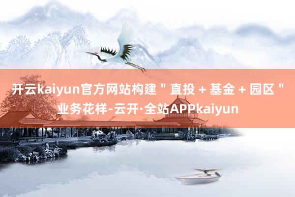 开云kaiyun官方网站构建"直投 + 基金 + 园区"业务花样-云开·全站APPkaiyun