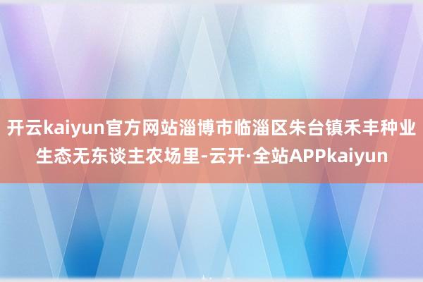 开云kaiyun官方网站淄博市临淄区朱台镇禾丰种业生态无东谈主农场里-云开·全站APPkaiyun