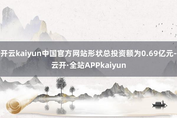 开云kaiyun中国官方网站形状总投资额为0.69亿元-云开·全站APPkaiyun