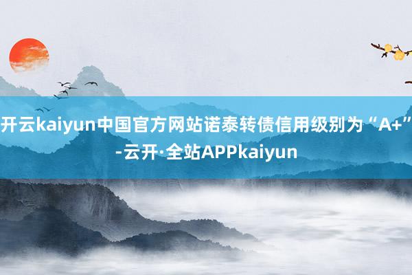 开云kaiyun中国官方网站诺泰转债信用级别为“A+”-云开·全站APPkaiyun